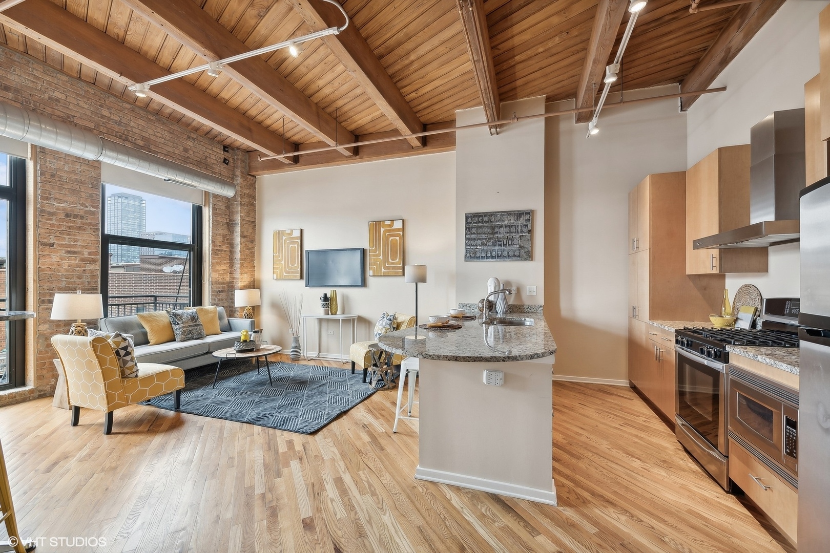 1040 West Adams Street, Unit 457 Chicago, IL 60607 - Photo 4 of 21 a living room with stainless steel appliances granite countertop couches a flat tv screen and a dishwasher with wooden floor
