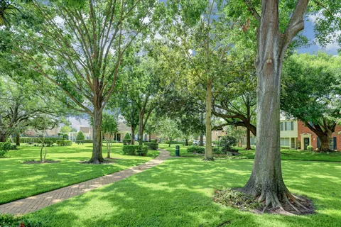 a green field with lots of trees