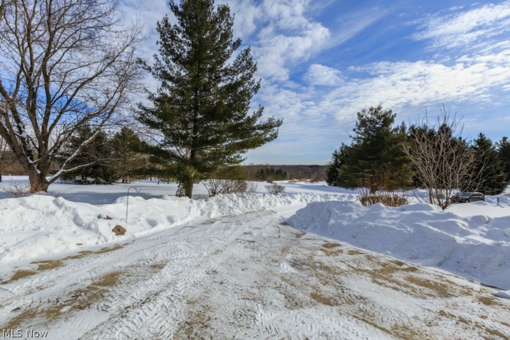 11104 Kile Road Chardon, OH 44024 - Photo 21 of 21