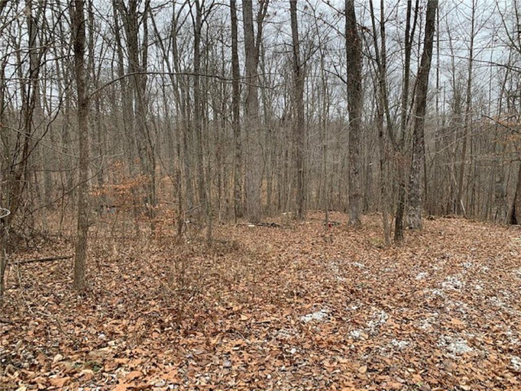 3603 North Bandy Road Poland, IN 47868 - Photo 2 of 2