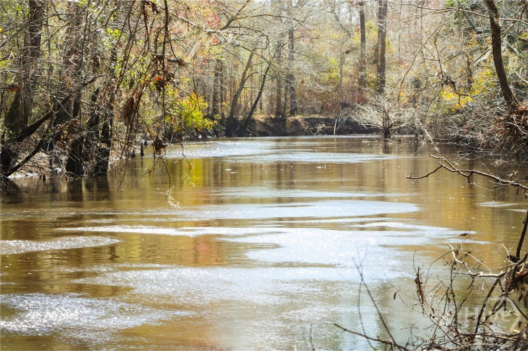 0 Tillman Eason Road Claxton, GA 30417 - Photo 1 of 28