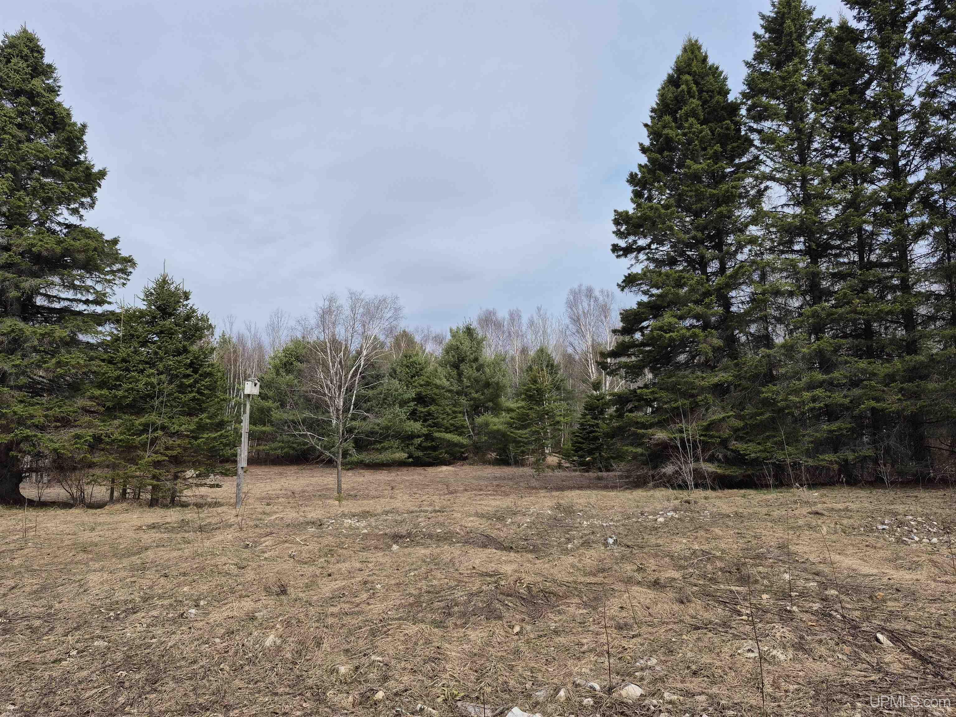 3754 Quarry Road Gulliver, MI 49840 - Photo 48 of 77