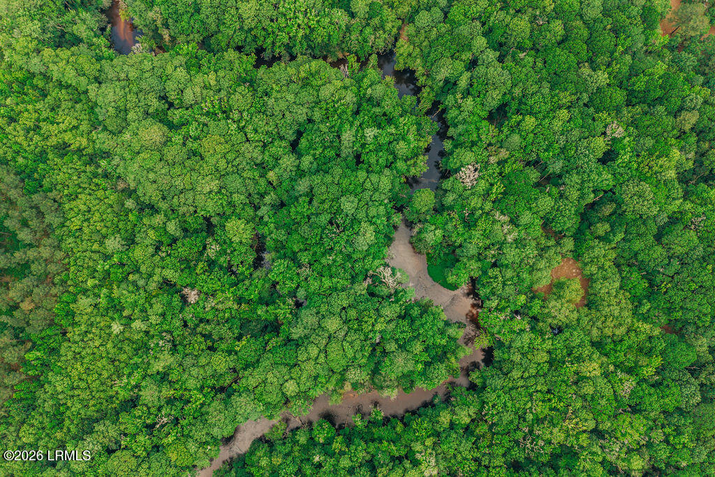 0 Parnel Road Cope, SC 29038 - Photo 9 of 13 DJI_20260511114209_0144_D