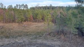 Friend Road Blackstone, VA 23824 - Photo 19 of 26 Gallery Image 19