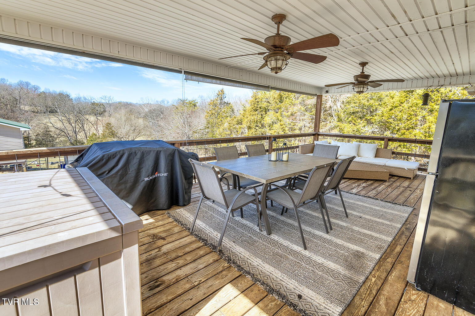 1369 Bright Hope Road Greeneville, TN 37743 - Photo 35 of 61 D_Neas-Exterior_6790