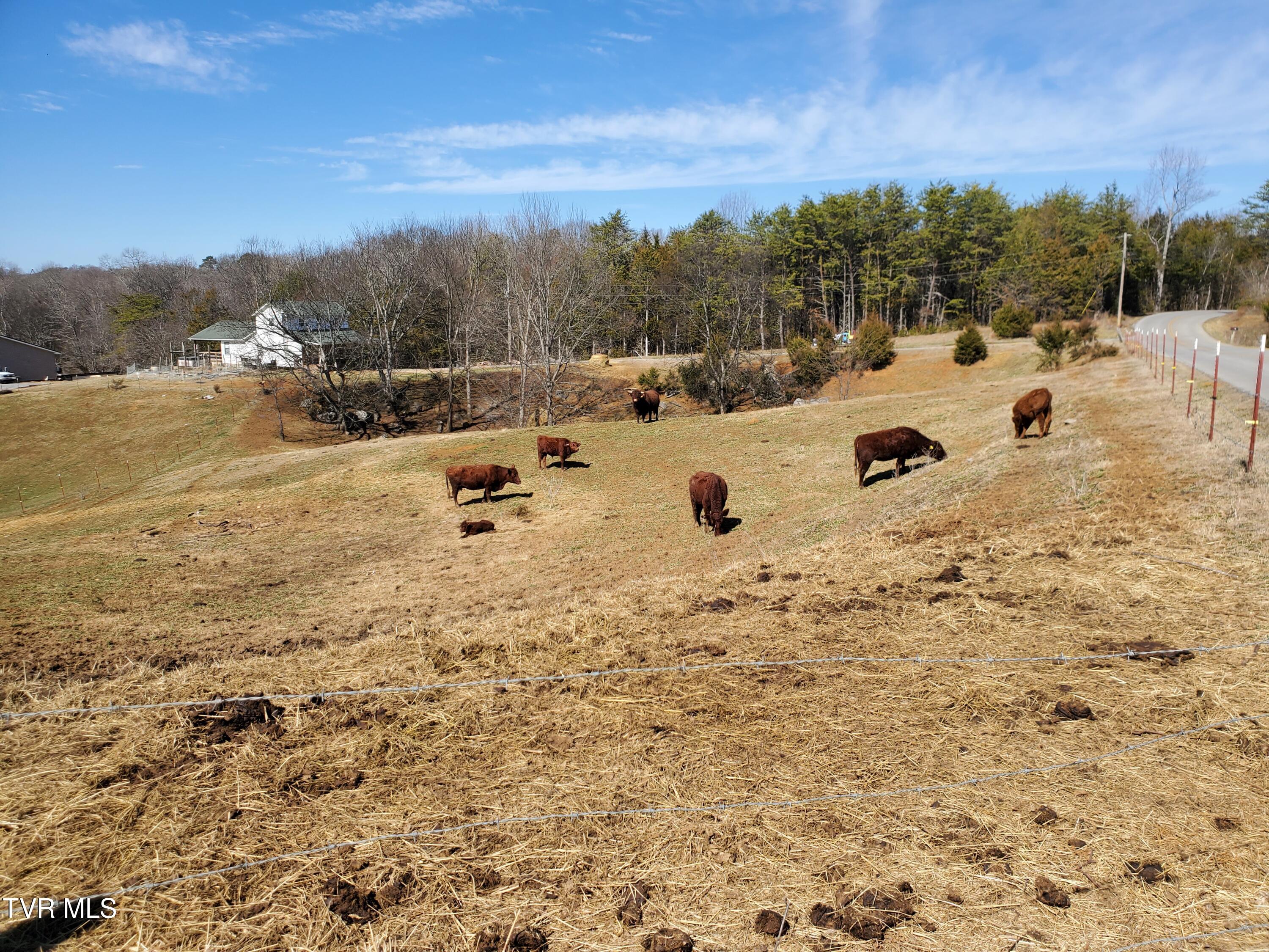 1369 Bright Hope Road Greeneville, TN 37743 - Photo 48 of 61 20250226_124603