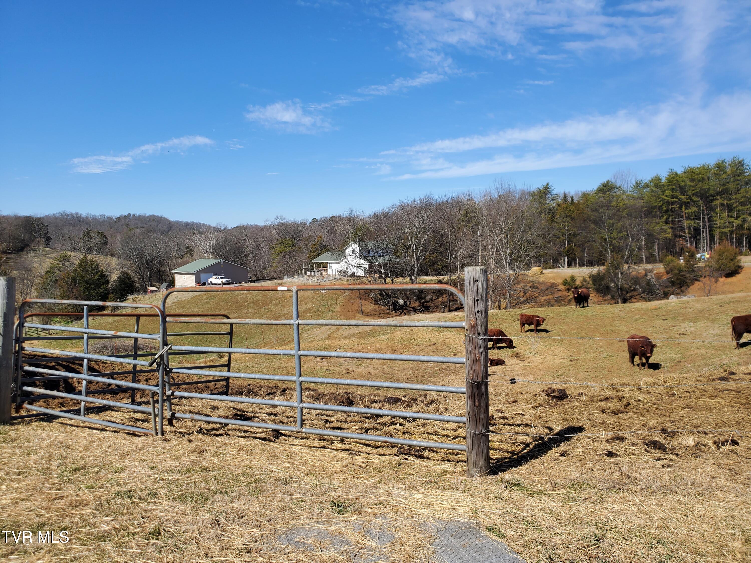 1369 Bright Hope Road Greeneville, TN 37743 - Photo 49 of 61 20250226_124550