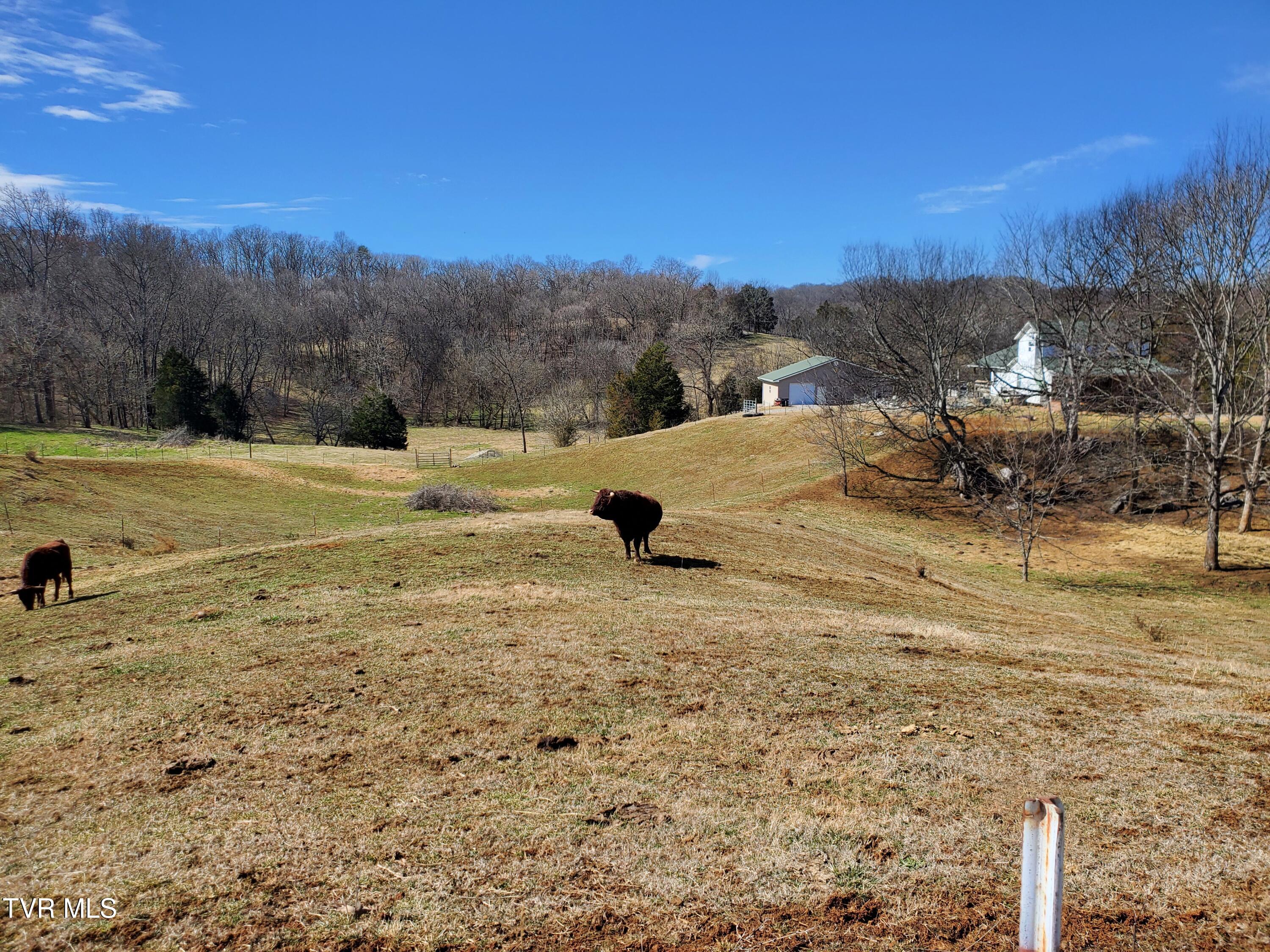 1369 Bright Hope Road Greeneville, TN 37743 - Photo 50 of 61 20250226_124426