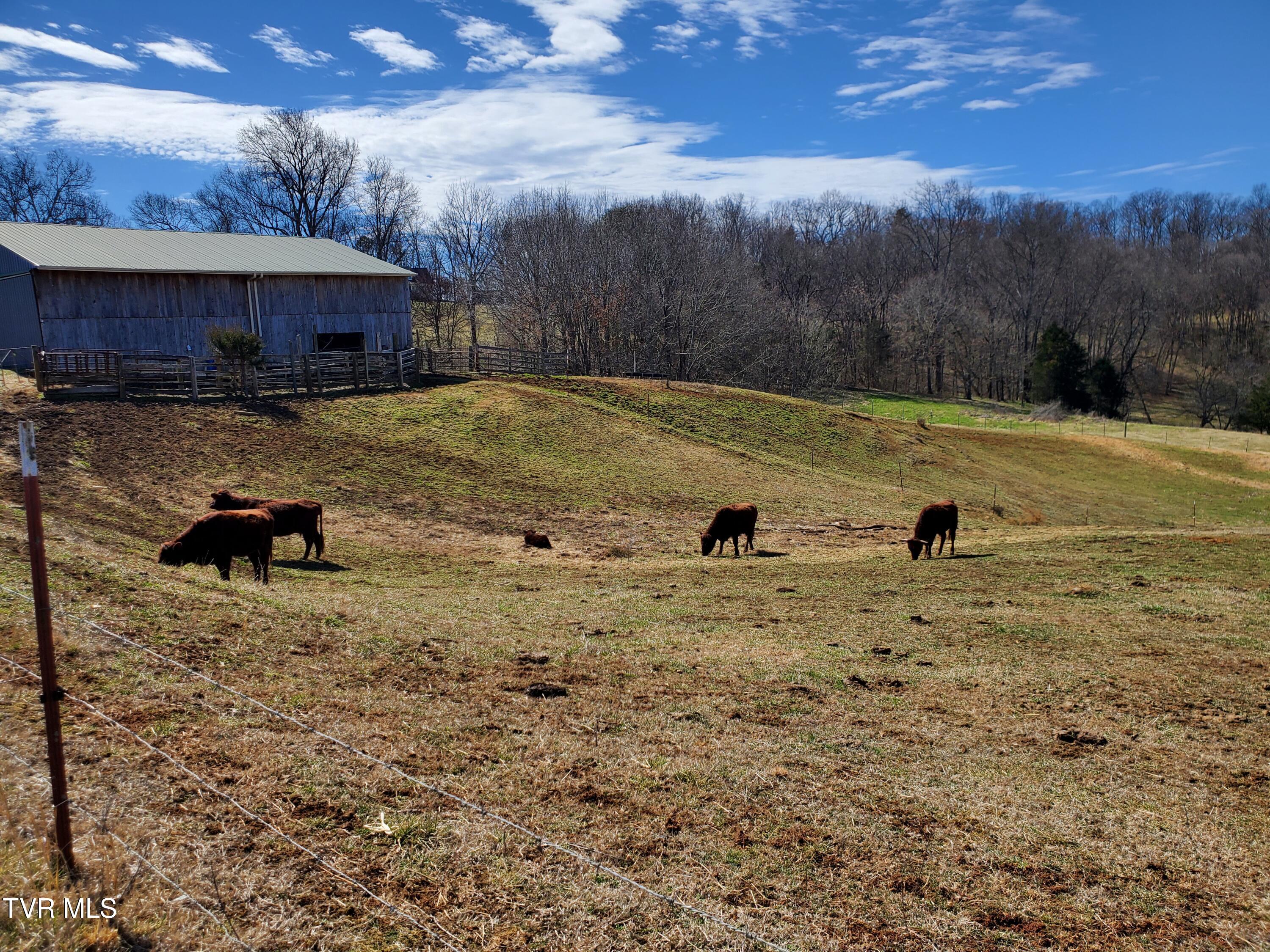 1369 Bright Hope Road Greeneville, TN 37743 - Photo 51 of 61 20250226_124421