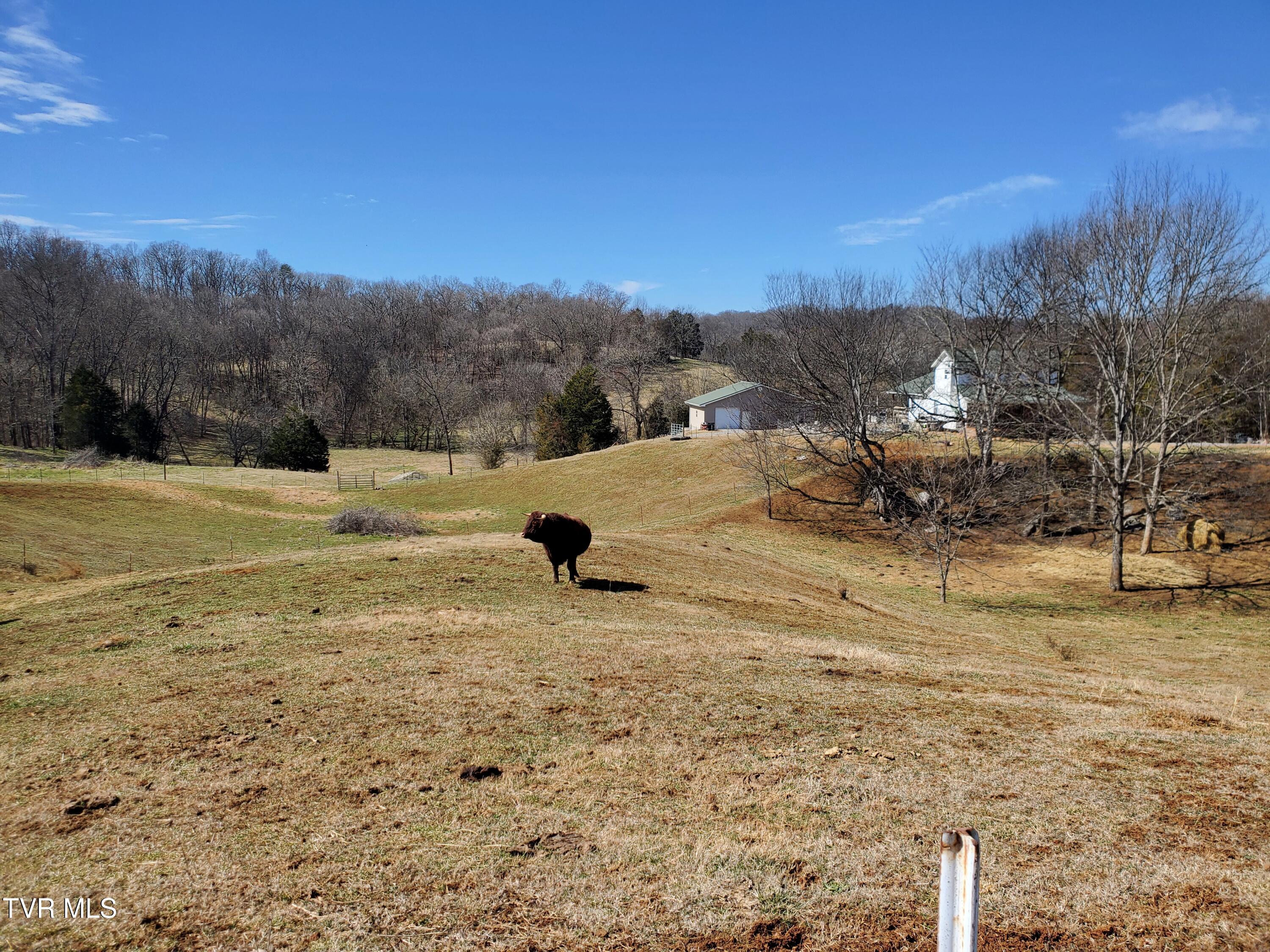 1369 Bright Hope Road Greeneville, TN 37743 - Photo 52 of 61 20250226_124417