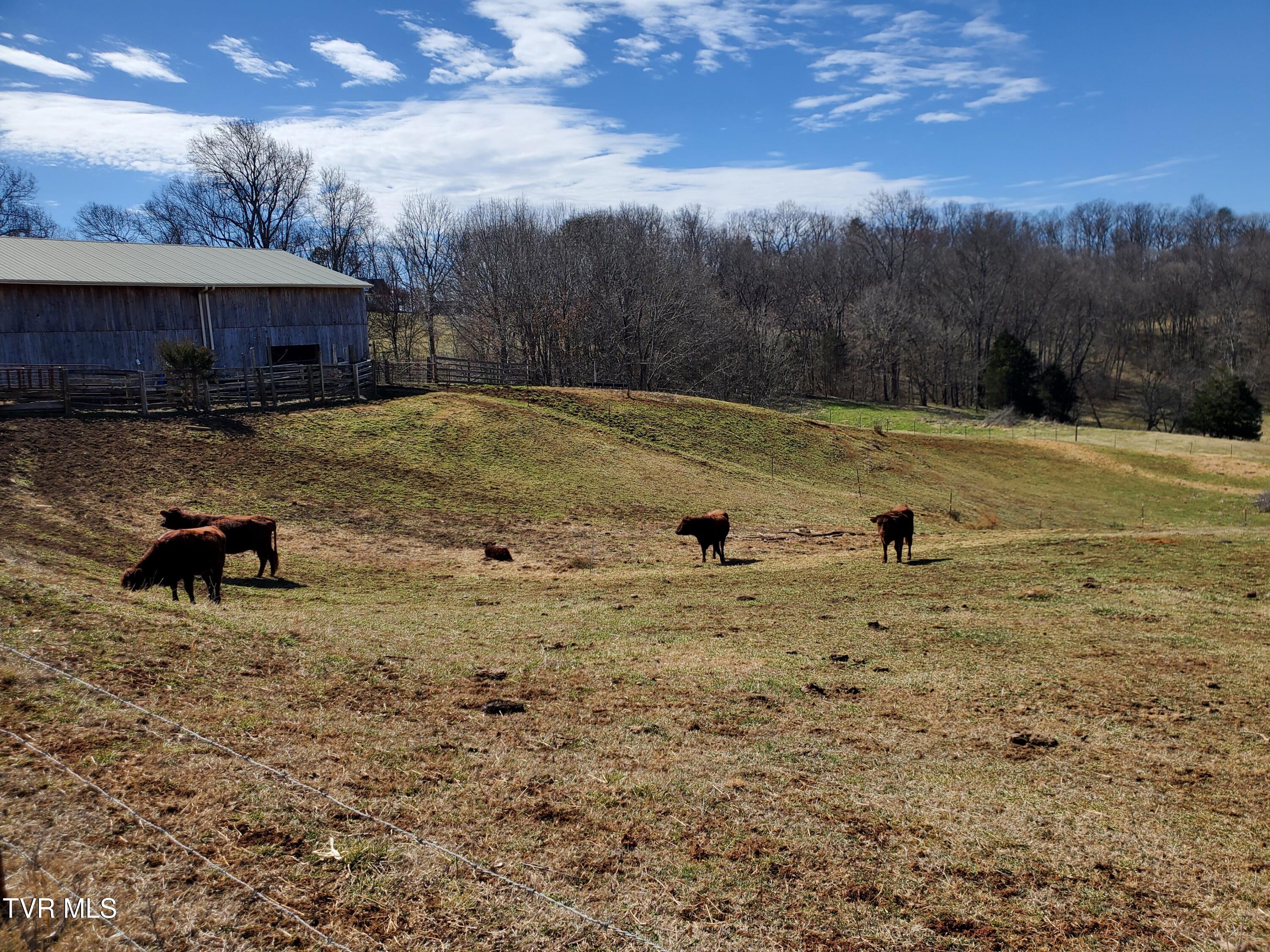 1369 Bright Hope Road Greeneville, TN 37743 - Photo 53 of 61 20250226_124413