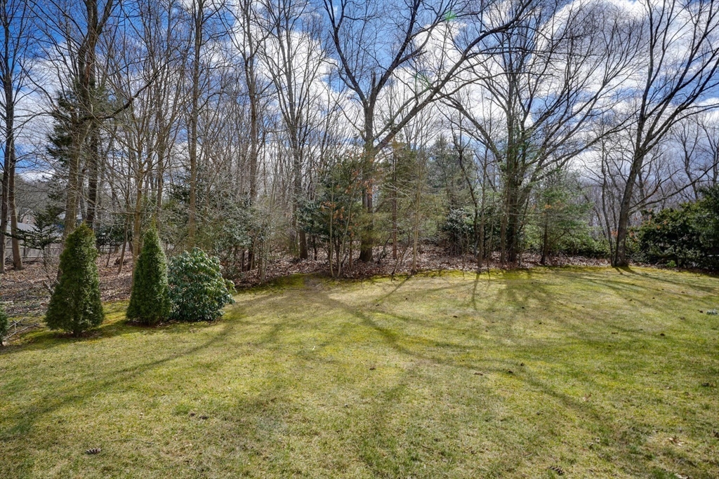 94 Johnson Road Winchester, MA 01890 - Photo 6 of 36