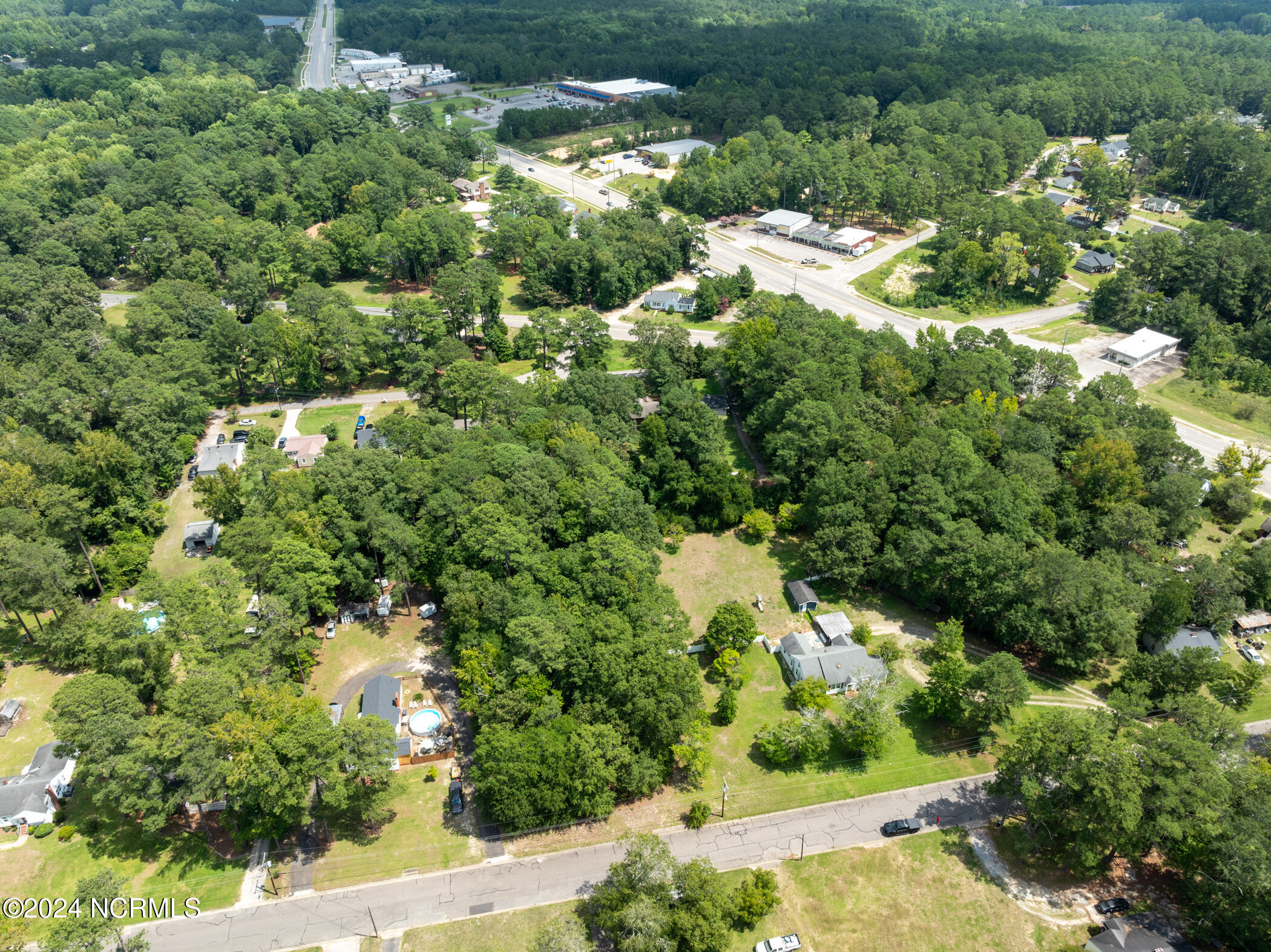 Tbd Deweese Avenue Rockingham, NC 28379 - Photo 11 of 11 DJI_0379-2