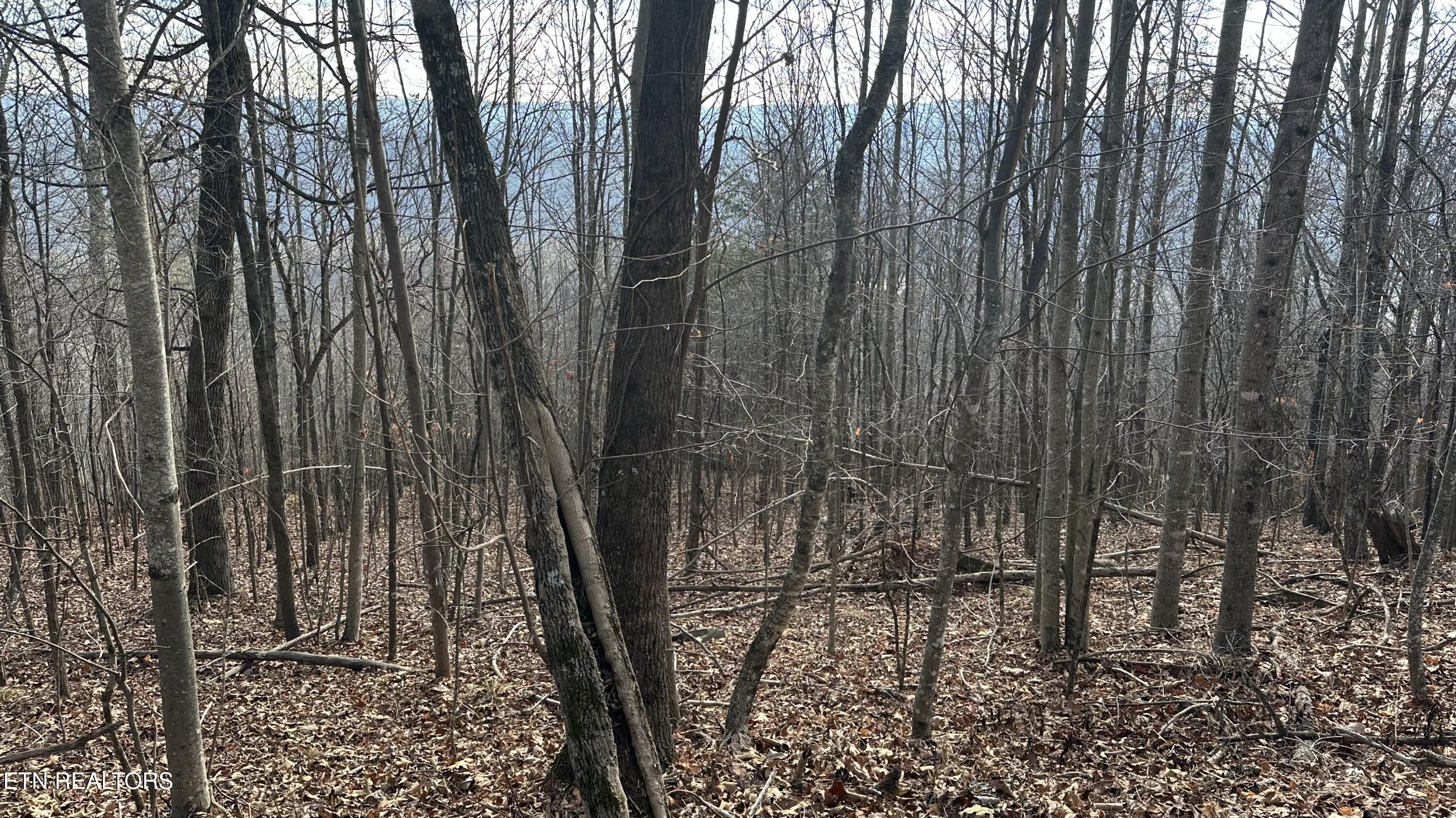 616 Chimney Rock Road New Tazewell, TN 37825 - Photo 2 of 3 IMG_1056