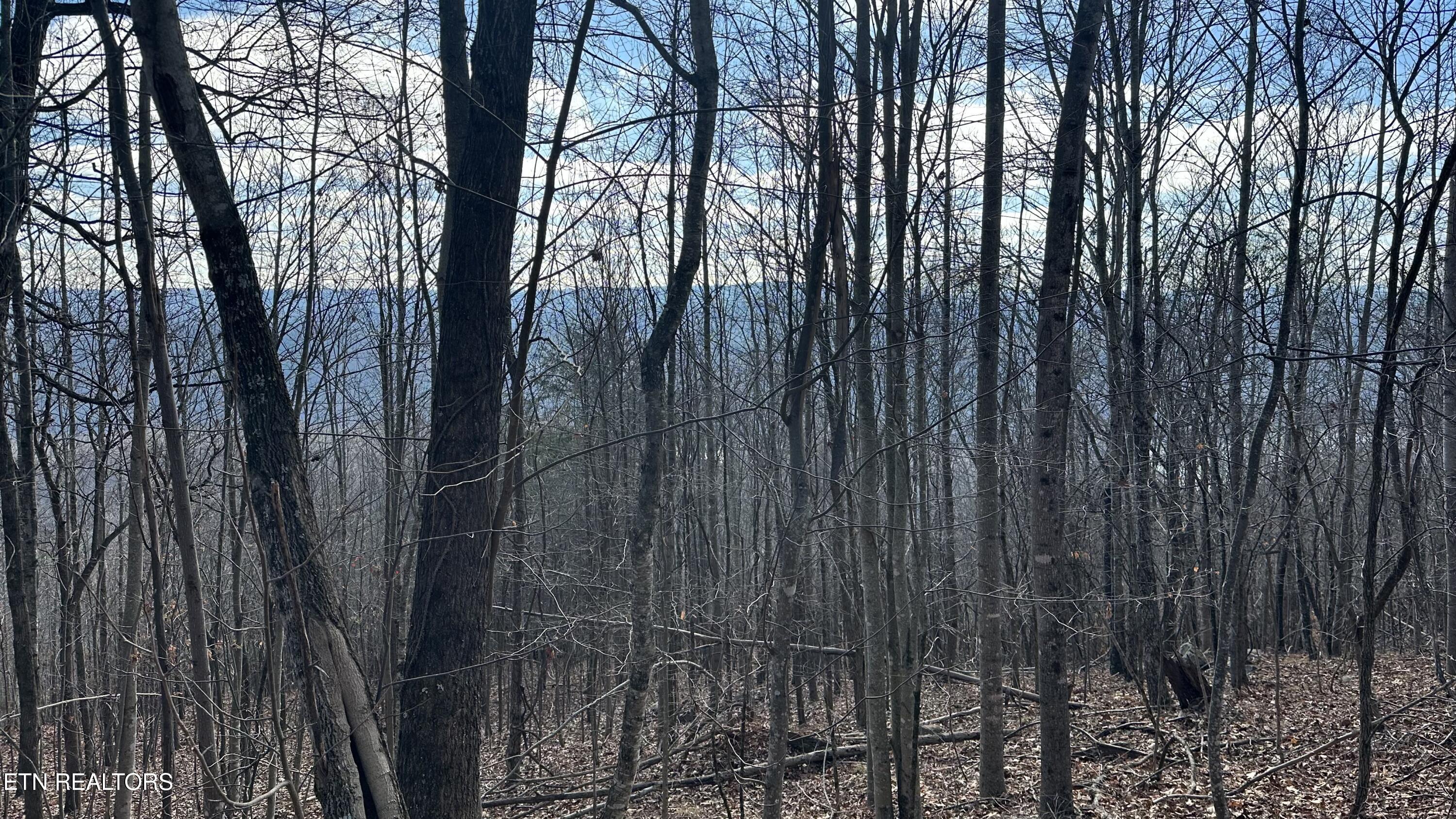 616 Chimney Rock Road New Tazewell, TN 37825 - Photo 3 of 3 IMG_1057