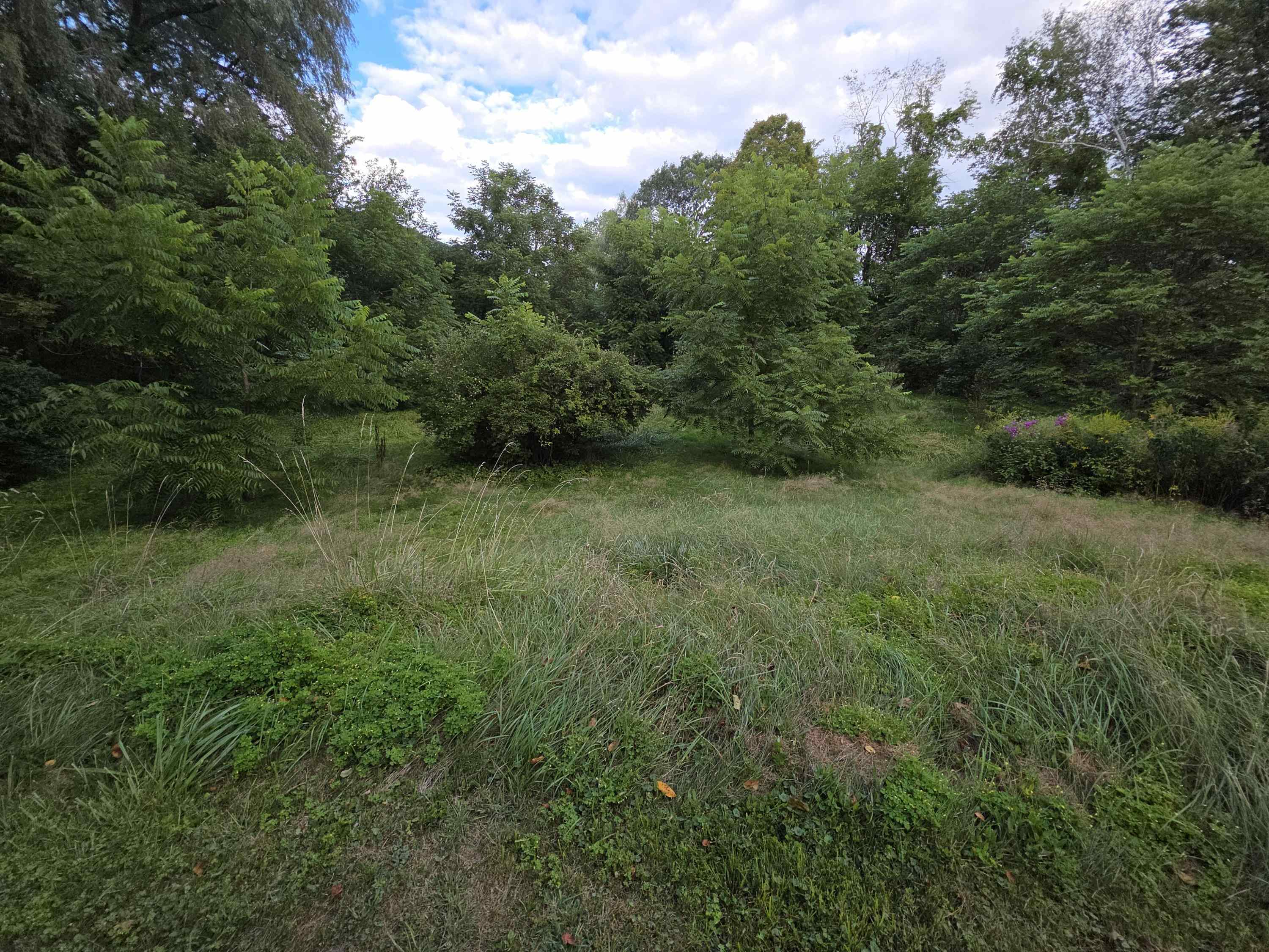 5527 Highway 106 Weathersfield, VT 05142 - Photo 4 of 20