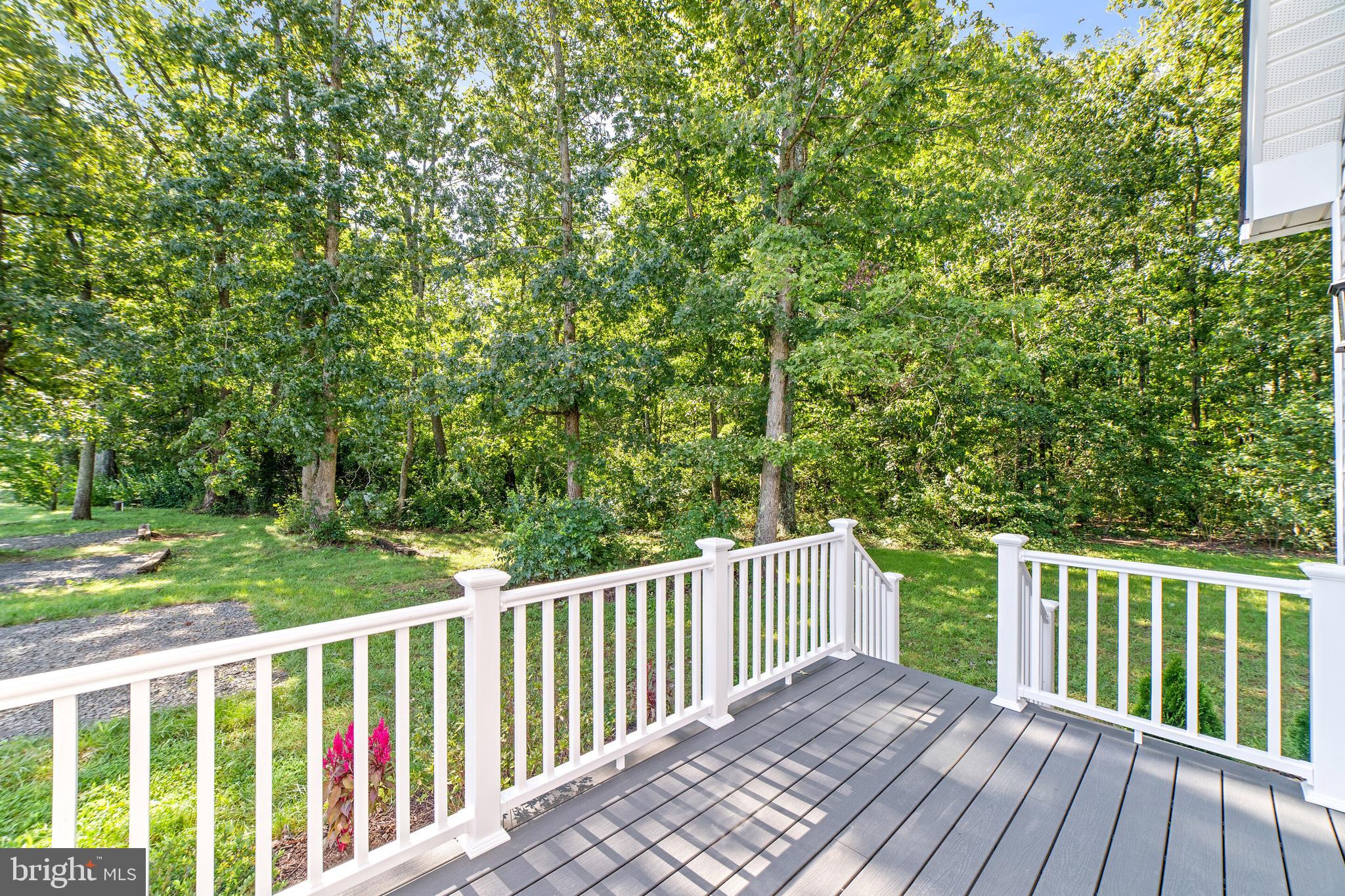 4338 Catlett Road Midland, VA 22728 - Photo 37 of 41 Maintenance Free Deck