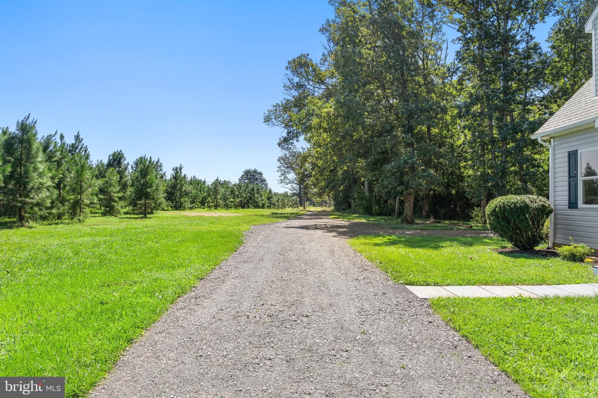 4338 Catlett Road Midland, VA 22728 - Photo 40 of 41 Private Driveway