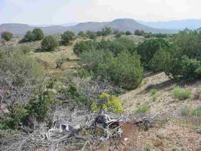 Wencell Road Kingman, AZ 86401 - Photo 1 of 1 Primary Photo