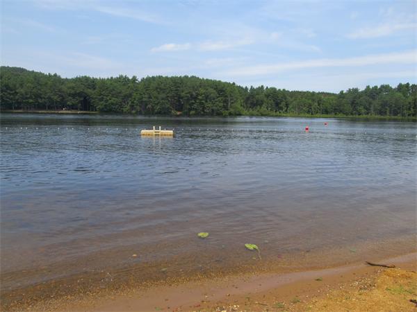 28 Wells Park Road Sturbridge, MA 01566 - Photo 8 of 8