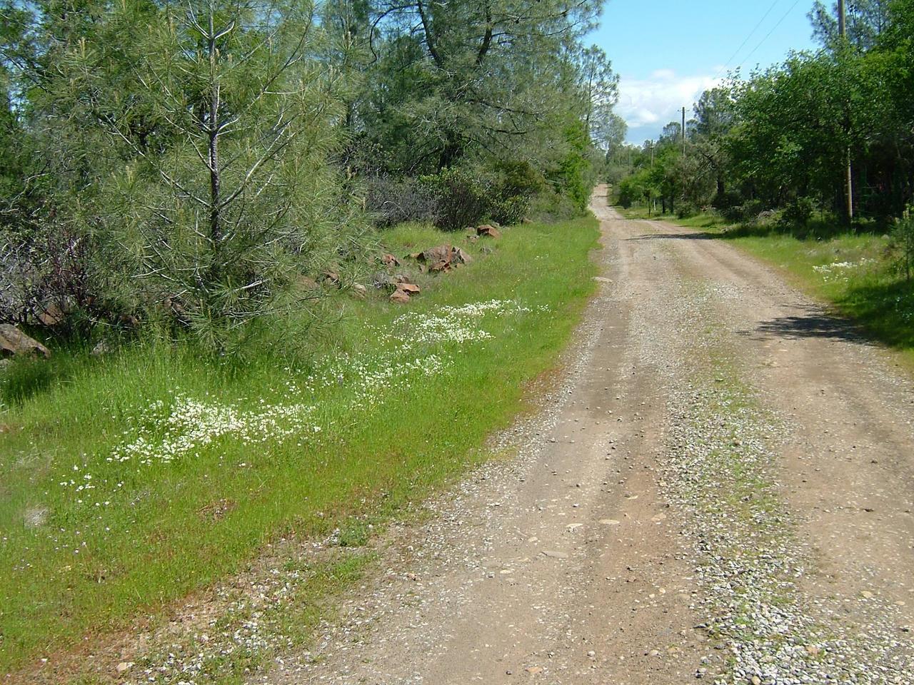 Hobart Rd