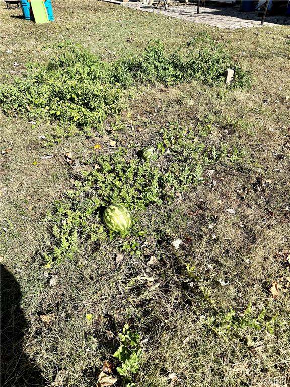 3 West Patterson Street Mascoutah, IL 62258 - Photo 59 of 59