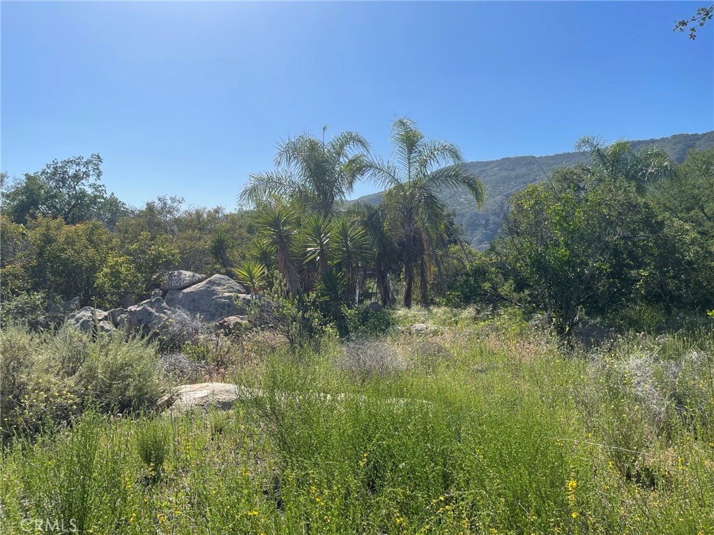 44555 Tortuga Road Temecula, CA 92590 - Photo 11 of 33