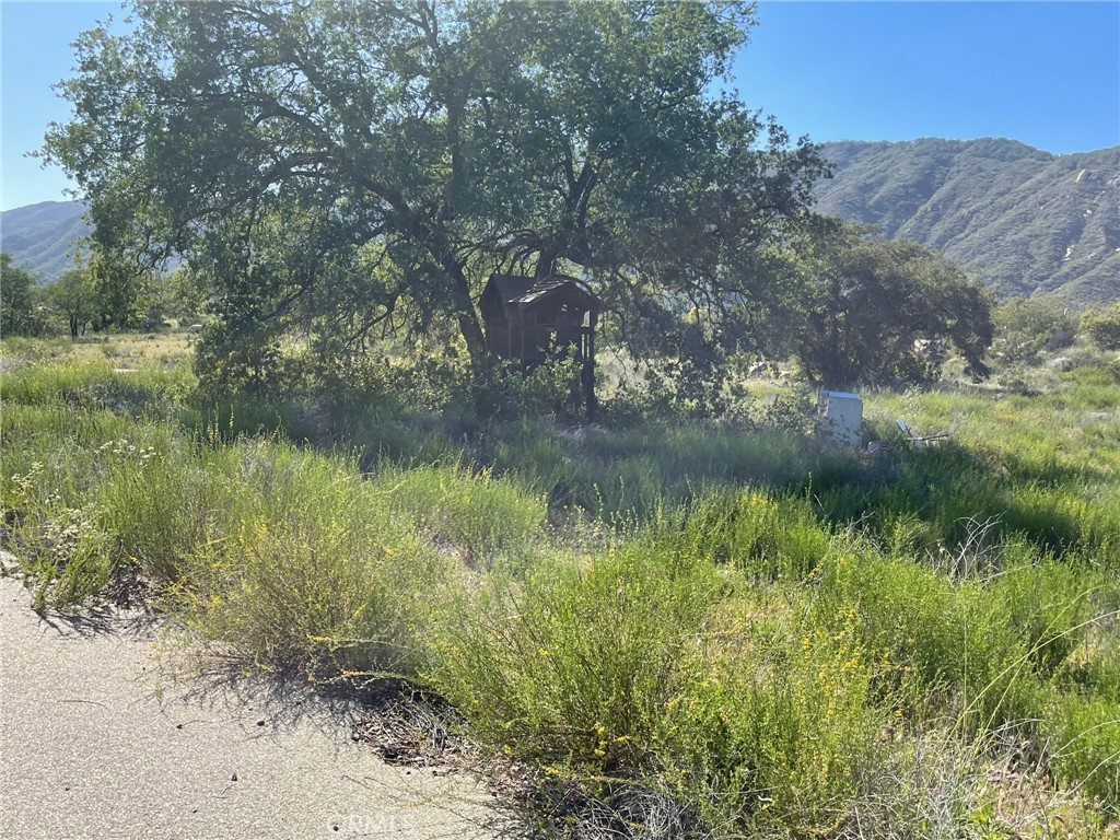 44555 Tortuga Road Temecula, CA 92590 - Photo 22 of 33