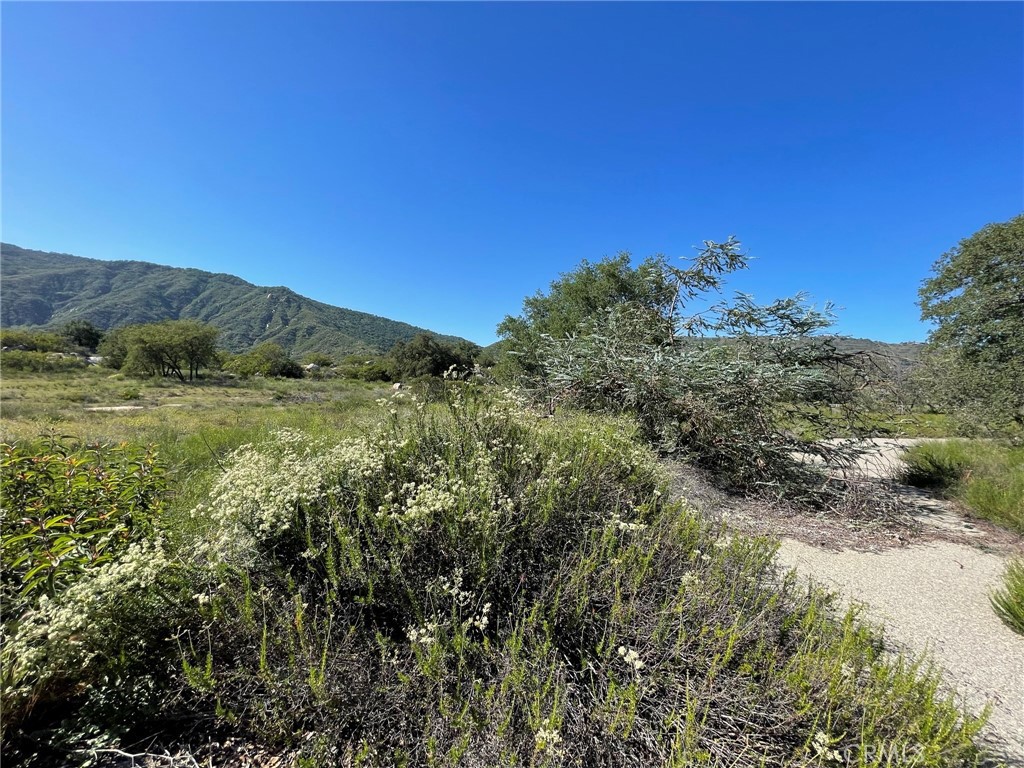 44555 Tortuga Road Temecula, CA 92590 - Photo 27 of 33