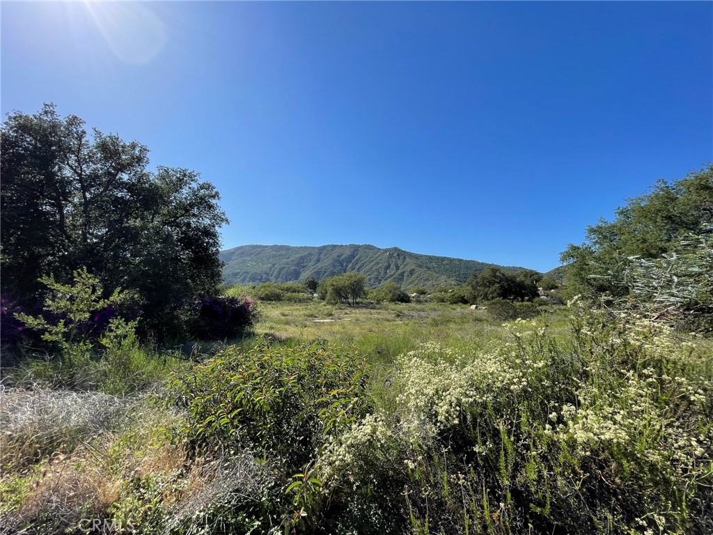 44555 Tortuga Road Temecula, CA 92590 - Photo 28 of 33