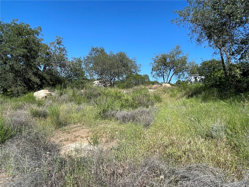 44555 Tortuga Road Temecula, CA 92590 - Photo 32 of 33