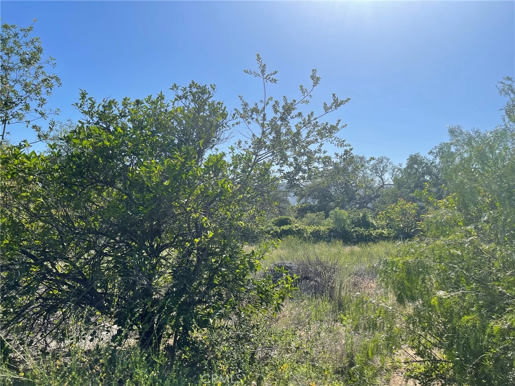 44555 Tortuga Road Temecula, CA 92590 - Photo 8 of 33