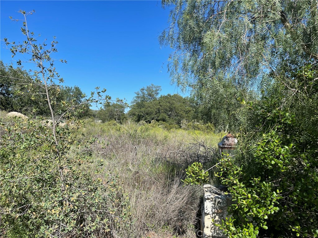 44555 Tortuga Road Temecula, CA 92590 - Photo 10 of 33