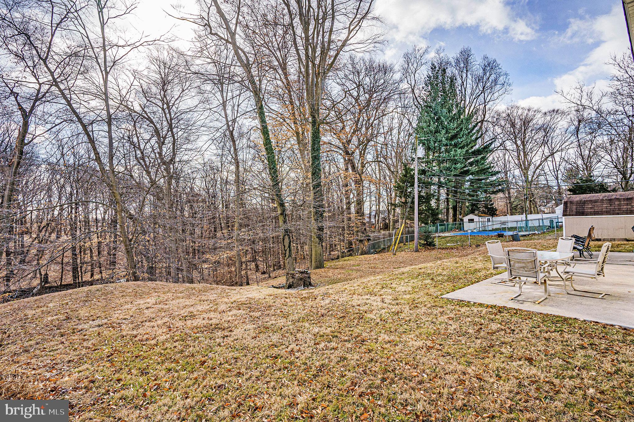 136 Greycourt Road Philadelphia, PA 19115 - Photo 4 of 32 Wooded view from rear yard