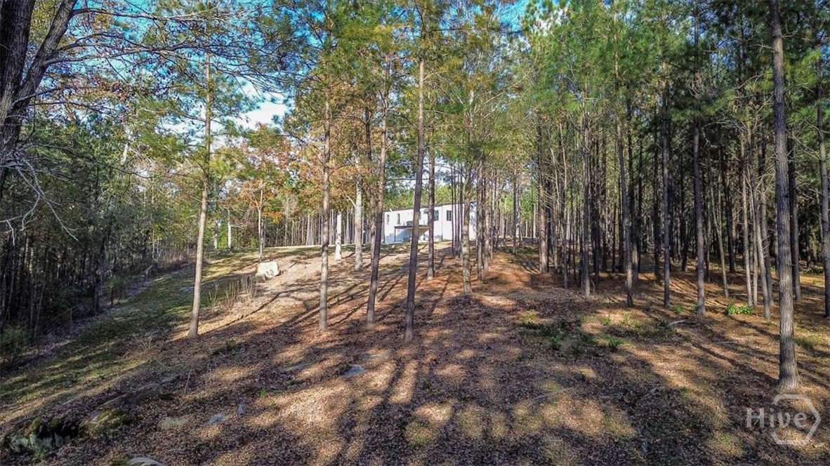 60 Stephens Road Lexington, GA 30648 - Photo 54 of 60