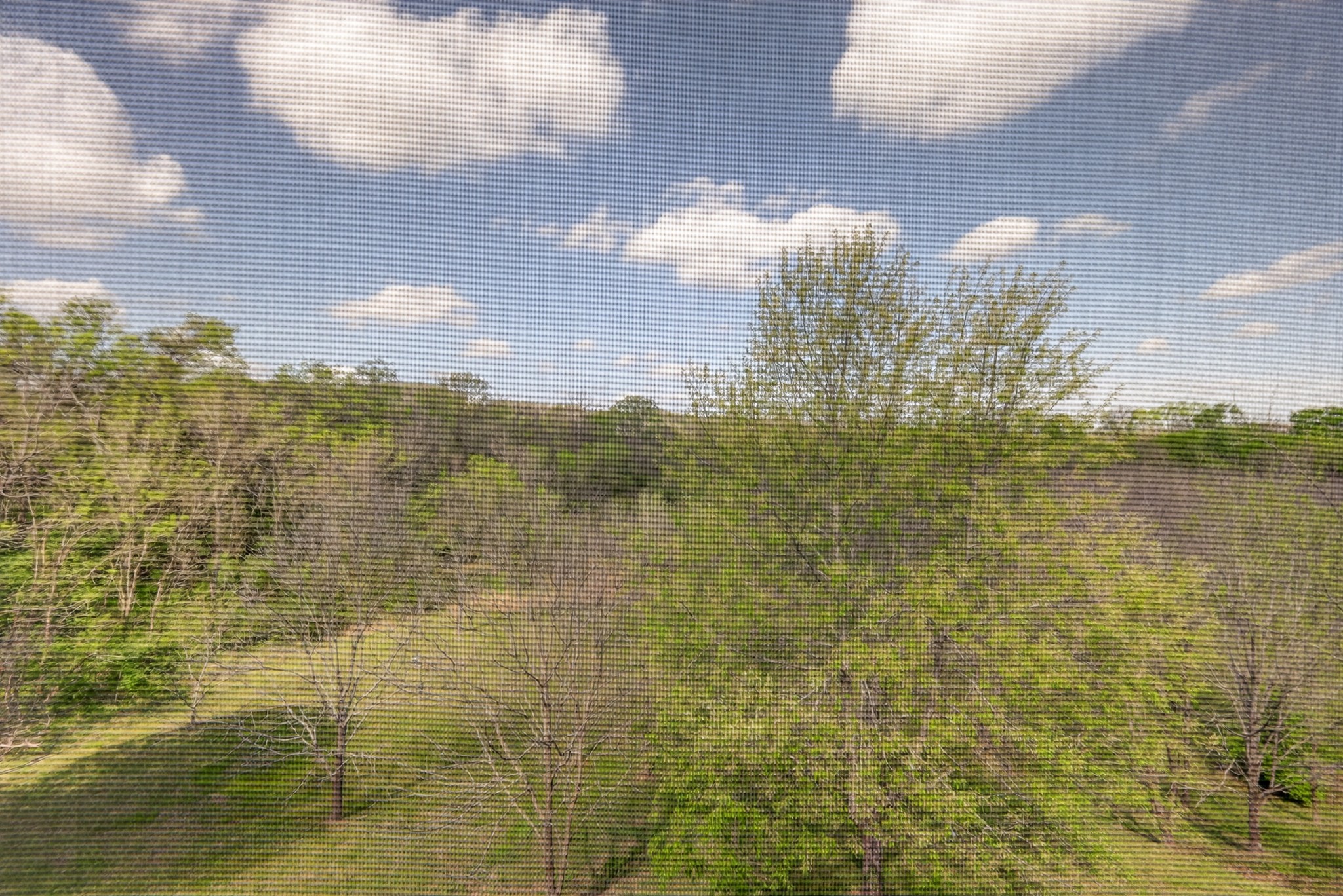 8199 Coley Davis Road Nashville, TN 37221 - Photo 24 of 26