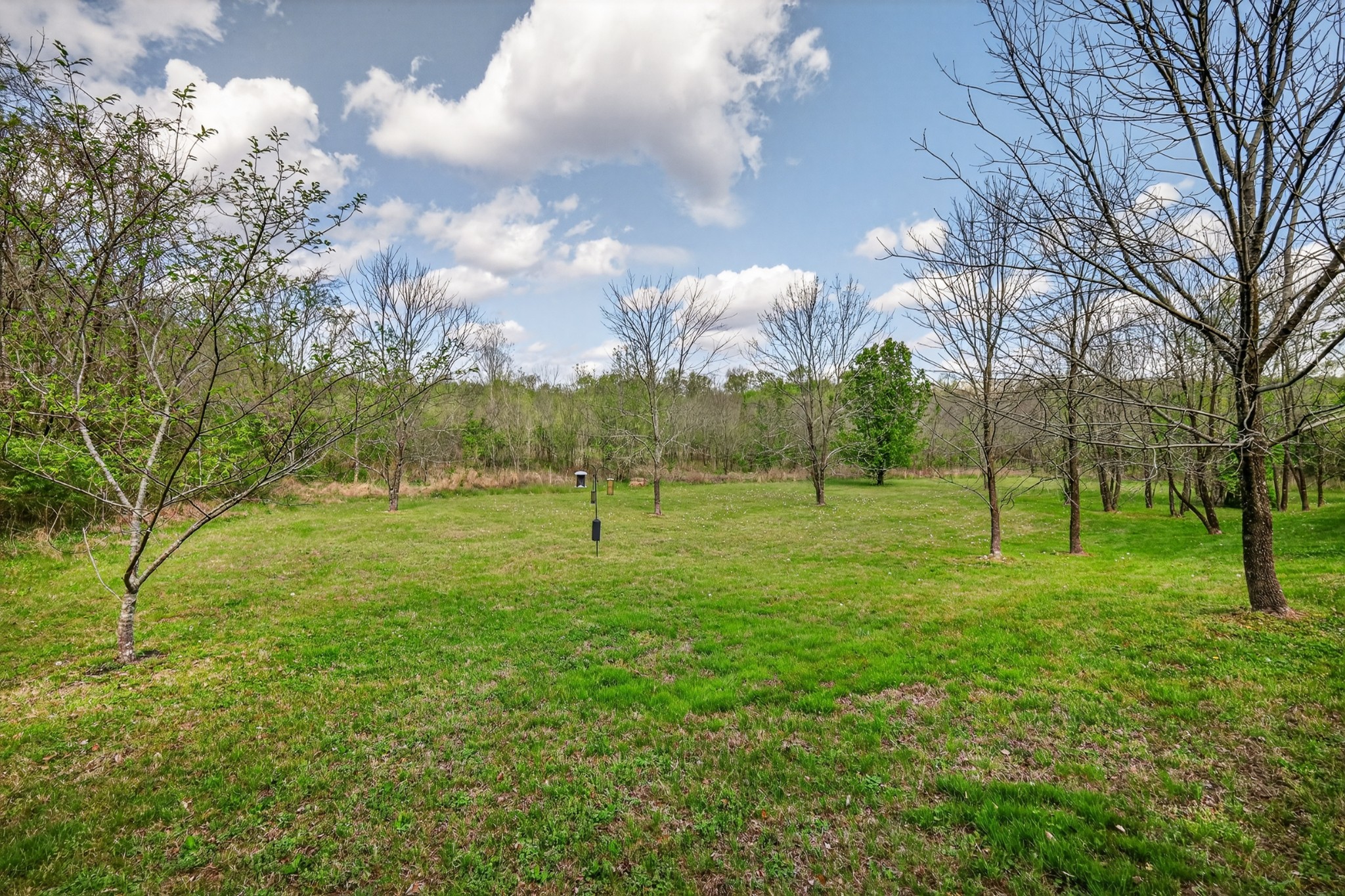 8199 Coley Davis Road Nashville, TN 37221 - Photo 25 of 26