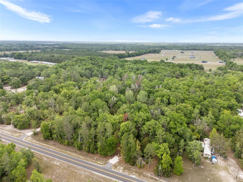 3100 Northwest 30th Street Bell, FL 32619 - Photo 1 of 14