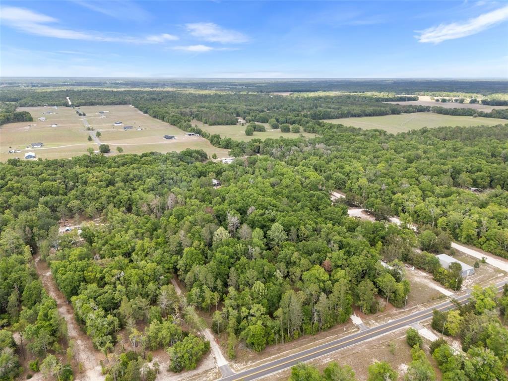 3100 Northwest 30th Street Bell, FL 32619 - Photo 11 of 14