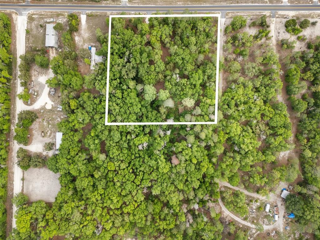 3100 Northwest 30th Street Bell, FL 32619 - Photo 12 of 14