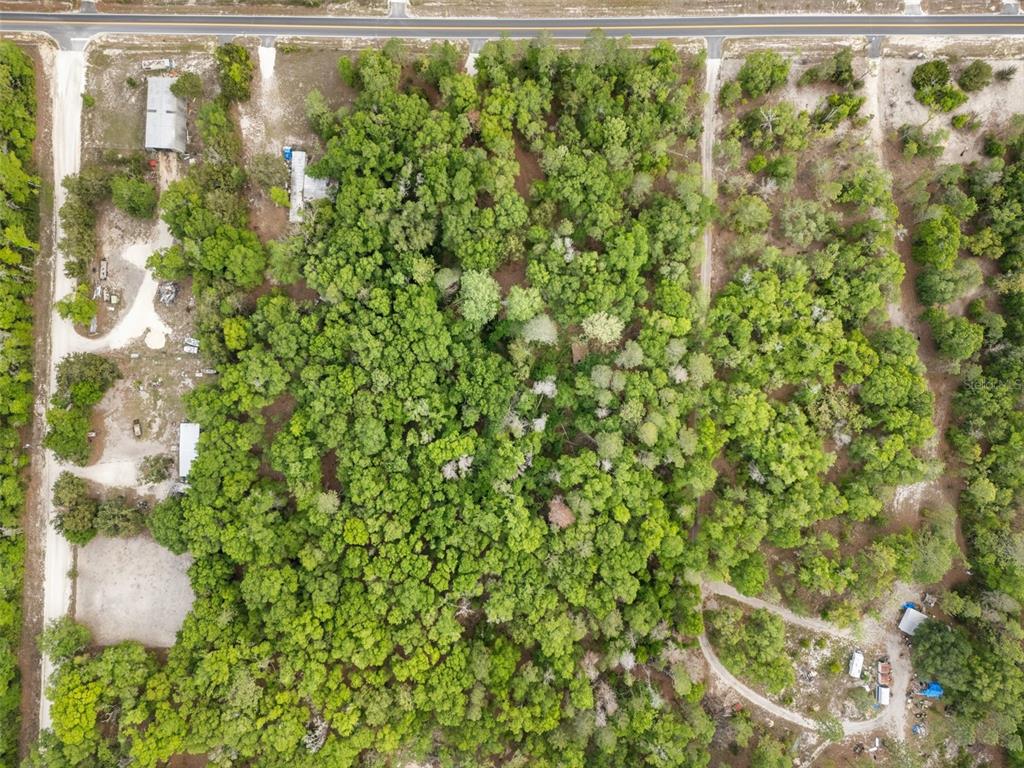 3100 Northwest 30th Street Bell, FL 32619 - Photo 13 of 14