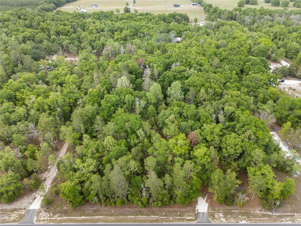 3100 Northwest 30th Street Bell, FL 32619 - Photo 9 of 14
