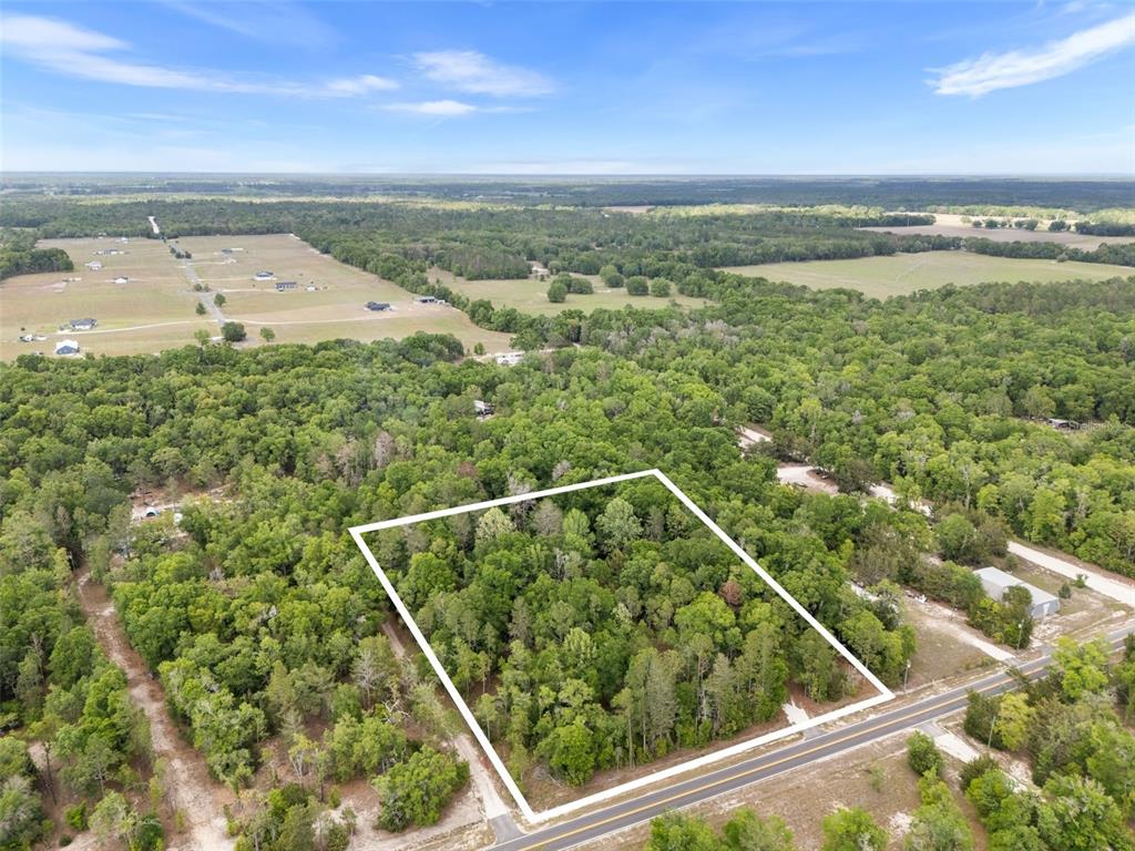 3100 Northwest 30th Street Bell, FL 32619 - Photo 10 of 14