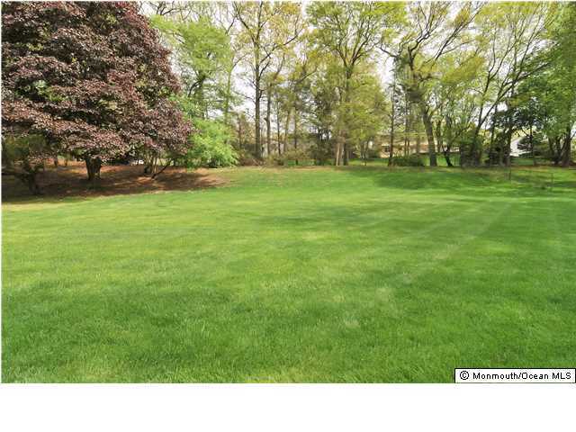 19 Whitman Road Morganville, NJ 07751 - Photo 8 of 12 Additional Photo