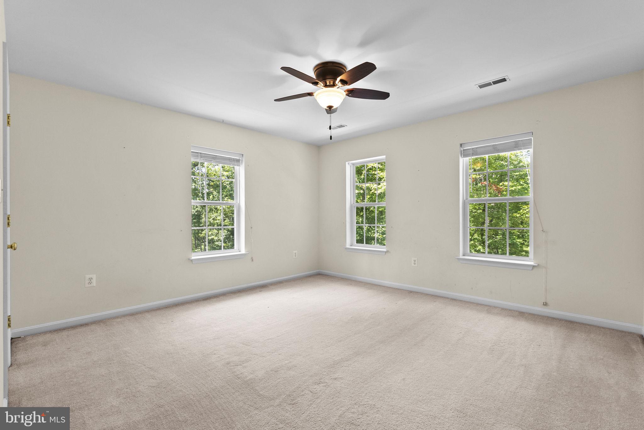 10275 Mountain Run Lake Road Culpeper, VA 22701 - Photo 61 of 89