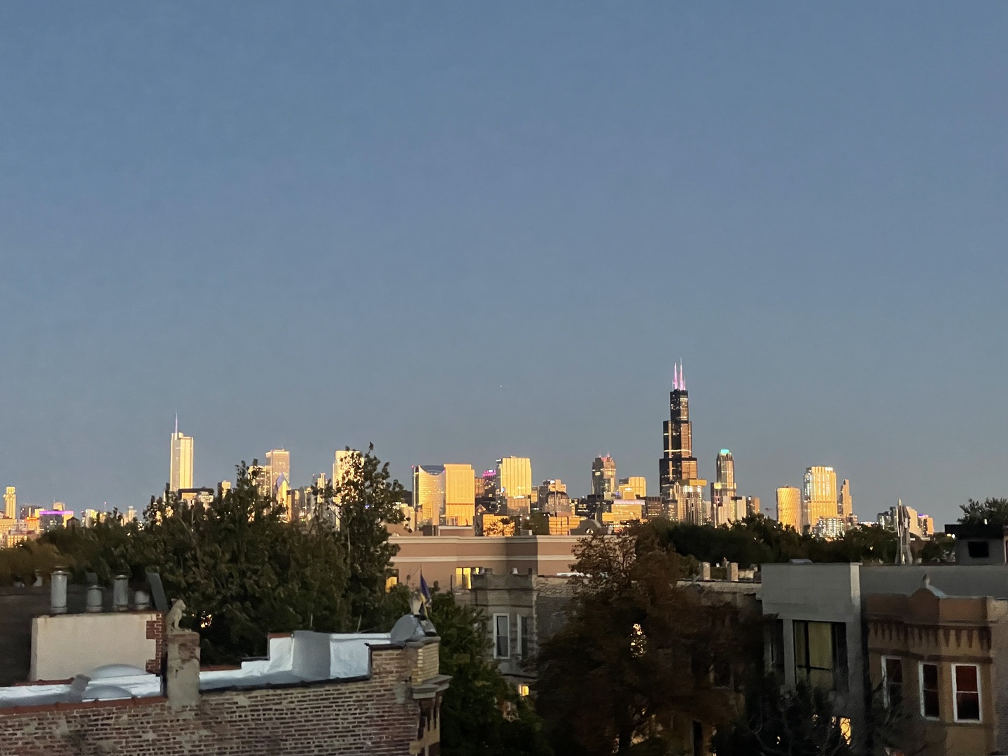 2038 West Iowa Street, Unit 3E Chicago, IL 60622 - Photo 16 of 18