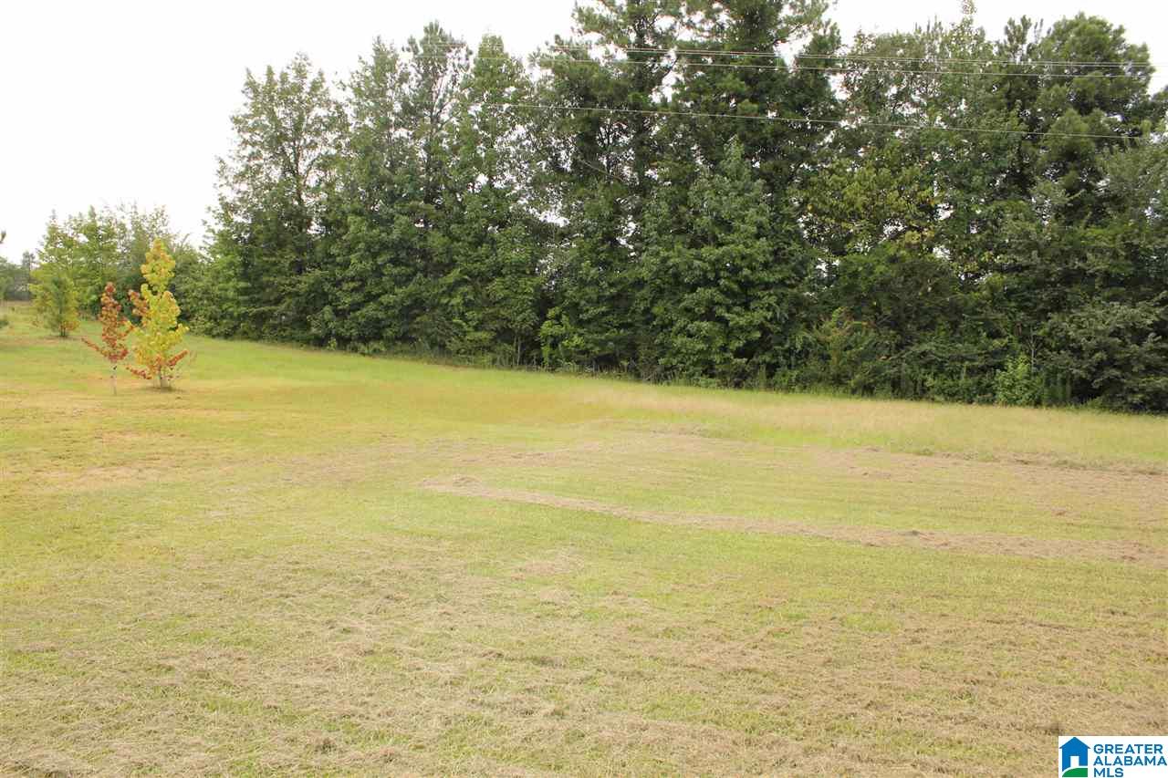 9810 Highway 31 Calera, AL 35040 - Photo 3 of 20