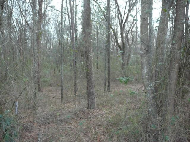 9 Pineland Meadows Honea Path, SC 29654 - Photo 1 of 4