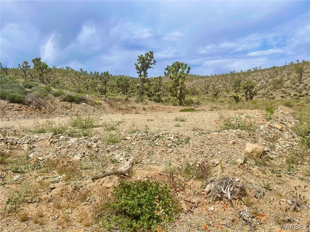 336-05-033 Smith Road Meadview, AZ 86444 - Photo 17 of 36 a view of a yard