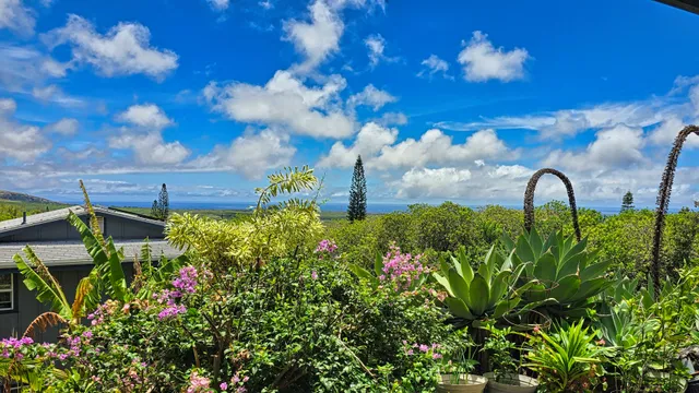 a view of a yard in front of house with a yard
